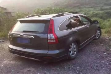 類物流：一輛面包車里，塞了24頭豬？！