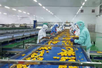 ?全自動食品包裝機 | 解決招工難、效率低等關鍵問題