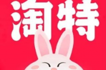 先下手為強！為了微信支付，淘特這回真急了！