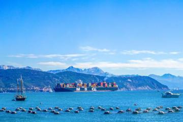 “堵神來(lái)襲”！近60艘船舶等待靠港！馬士基、MSC、ZIM等船公司宣布跳港！