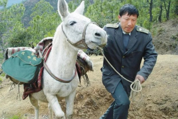 中國最慢快遞公司的真相