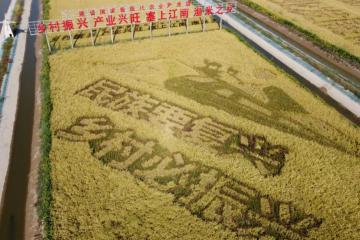 “快遞進村”大利好！被寫入2022年中央一號文件