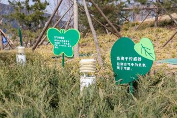 以“數”為基，京東科技服務雄安新區“人城數”協同發展