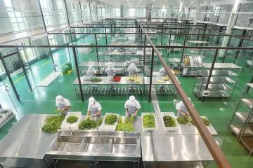 中原智慧冷鏈物流園項目開工，總投資26.8億元