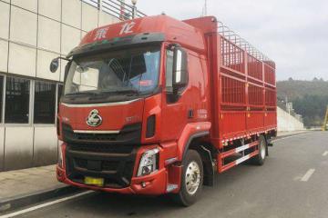 跟著20年綠通老司機選車，絕對錯不了！