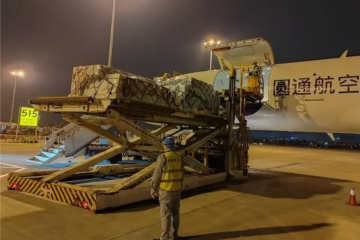 行業龍頭出海競逐國際市場，快遞業打響國際航空貨運網絡“空戰”