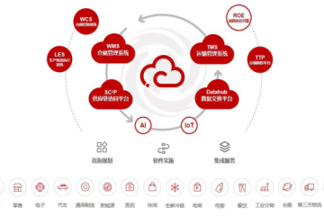 2022年中國物流軟件市場分析與2023 年展望— 訪上海富勒信息科技有限公司副總裁張竑偉先生