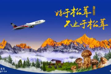 松茸大戰(zhàn)！“最強(qiáng)玩家”來了