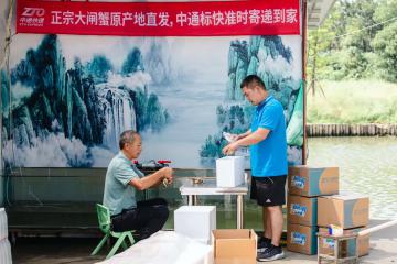 與順豐正面對決？中通標快全力“搶食”大閘蟹