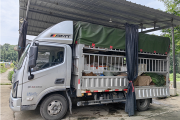 油耗堪比一輛家用SUV，歐馬可自動擋用實力征服20年駕齡老司機