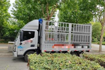 不限行、真能省！歐馬可智藍、混動輕卡完美解決城配小伙運輸痛點
