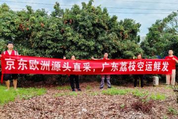 京東打通荔枝跨國冷鏈，48小時到消費者餐桌