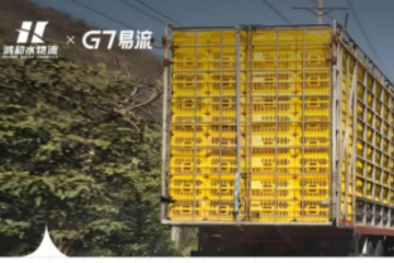 鴻和水聯手G7易流共建蛋品數字化運輸管理平臺