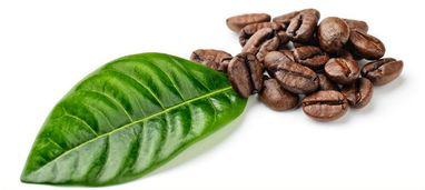 廣州進口巴西咖啡豆報關(guān)清關(guān)要提供夏季正確使用空調(diào)秘訣