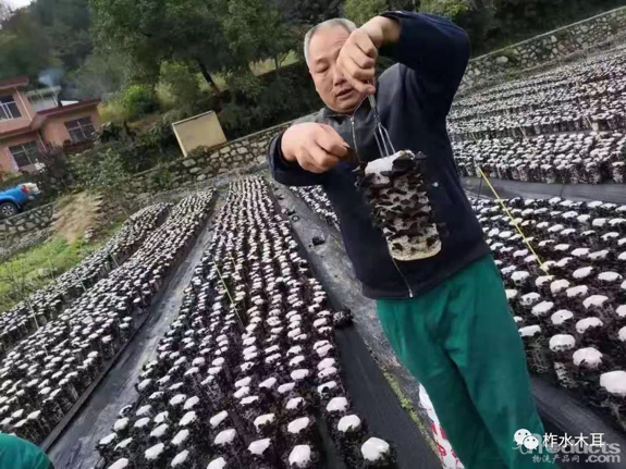 微信圖片_20200422163712.png