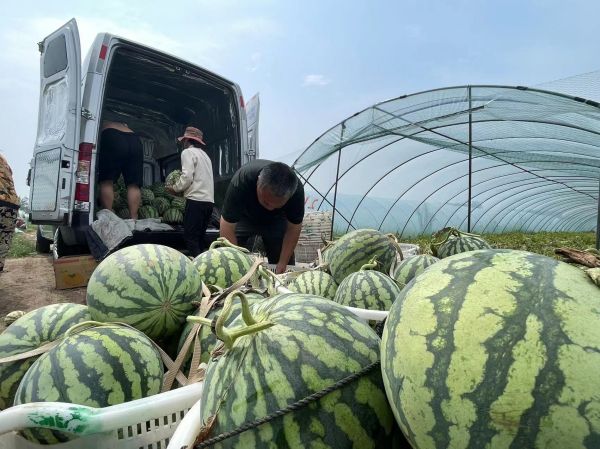 圖片3.jpg